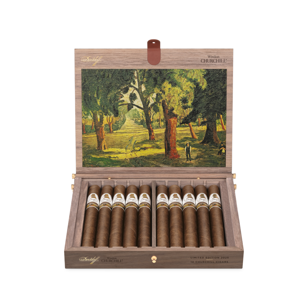 DAVIDOFF WINSTON CHURCHILL LE 2025 CE XXO 10 CIGARS